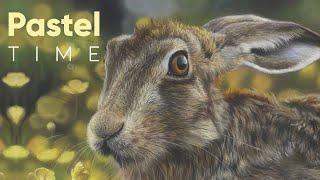 Hare on Pastelmat Timelapse