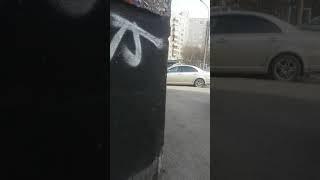 Вдруг из за кусточка #shorts