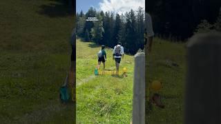 Hiking in summer and swimming in lake. #schliersee #alps #germany #trekkingvlog #hikerlife #deutsch