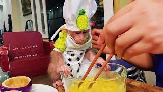 Baby monkey gives Dad a score for cooking (by Family BiBi)