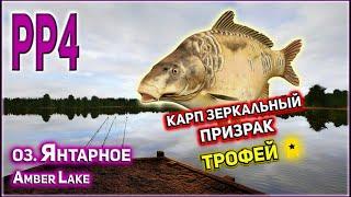 РР4 ЯНТАРНОЕ КАРП ЗЕРКАЛЬНЫЙ ПРИЗРАК ТРОФЕЙ / RF4 AMBER LAKE TROPHY MIRROR GHOST CARP