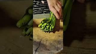 #Living a good life#My rural life #satisfying #easyfarming #farming  #shorts