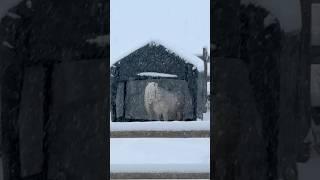 This is the best short I’ve ever made 