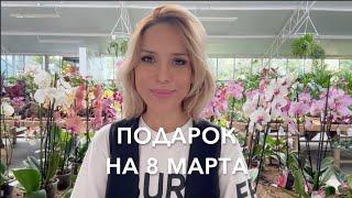 Подарок на 8 марта