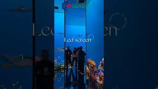 Mind-Blowing! LED Display Transforms into an Aquarium Wonderland​ #creativeled #Immersive #Genex