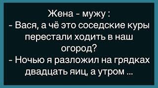 Как Папа С Сыном Играли В Прятки!Сбоорник Свежих Анекдотов!Юмор!Настроение!