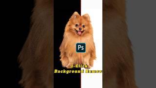 How to Select Furry Hair and Remove Background in Photoshop Quickly #changebackground #hairselection