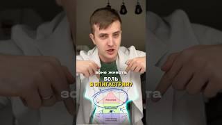 Почему болит живот?