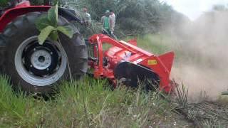 Trituradora de hojas de palma Tortella con tractor SAME. Tractocentro Colombia