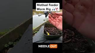 Method Feeder Worm Rig 🪱 #feederfishing #methodfeeder #worms