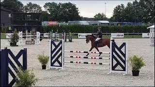 Sauvage EDT 1m20 Green Valley Trophy