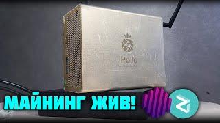 Домашний майнинг жив! iPollo v1 mini 300 m/h. Octa+zil на K1pool