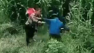 Pengendara Motor Tabrak Pasangan Mesum di Kebun Tebuh...kwkwkwk