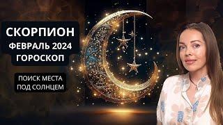 Скорпион - гороскоп на февраль 2024 года. Поиск своего места под Солнцем