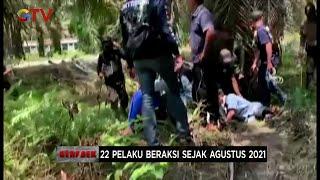 Sindikat Pencurian Sawit Ditangkap saat Beraksi, Polisi Kejar Mandor dan Penadah #Gerebek 28/10