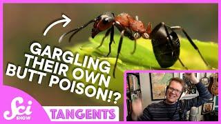 Poison | SciShow Tangents Podcast