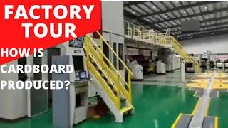 Factory Secrets Unveiled! How Is Cardboard Made?