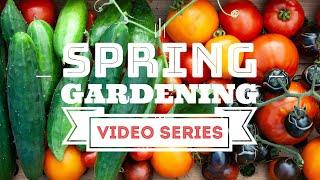 Episode 1: April in the Garden