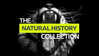 Natural History Documentaries on BBC Select | BBC Select