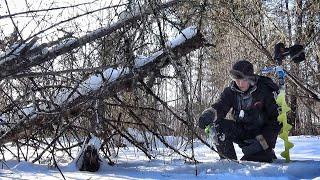 ЗАПРЕЩЁННЫЕ РЫБЫ и ТАЁЖНЫЙ РУЧЕЙ!  ДВЕ РЫБАЛКИ В СИБИРСКОЙ ГЛУШИ