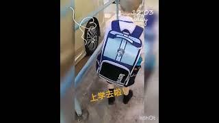 Customer Review Teemi School Bag