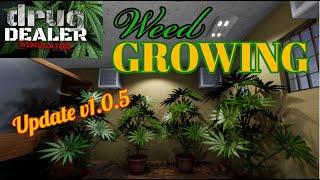 How to Grow Weed Update | Basic Tutorial Guide Walk Through | Drug Dealer Simulator | Tips & Tricks