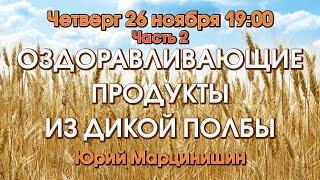 ОЗДОРАВЛИВАЮЩИЕ ПРОДУКТЫ ИЗ ДИКОЙ ПОЛБЫ, Часть 2 – Марцинишин Юрий Данилович