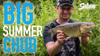 Catch BIG summer chub on lures | Ben Smith Chub fishing