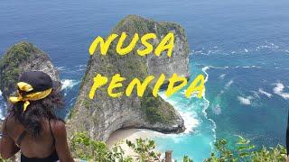 Nusa Penida | Hiking down Kelingking Beach | Bali Vlog