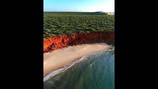 Falez, Yalıyar | Dalga aşınım şekli | Shark Bay Avustralya