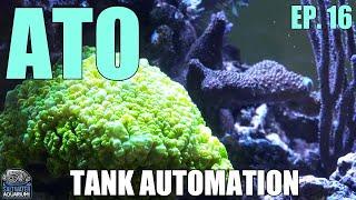 AUTOMATIC TOP OFF - Why You Need One -Tank Automation