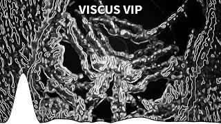 Riots Revenge - VISCUS VIP