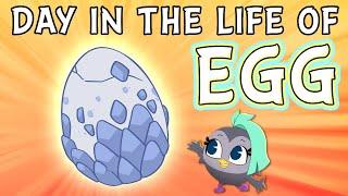 Day in The Life of Egg | Angry Birds Mystery Island