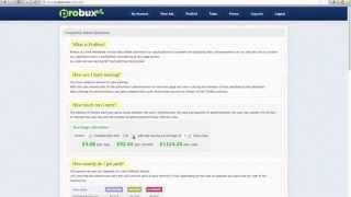 Probux Guide Make Money Online