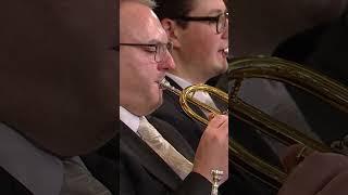 Vienna’s signature tune — "The Blue Danube"  #waltz #classicalmusic  #shorts