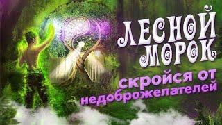 ЛЕСНОЙ МОРОК - НЕВИДИМКА  Чистка От Вампирических Привязок