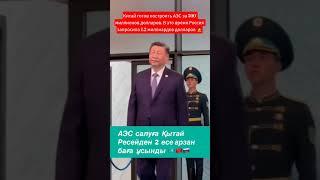 я вам построю АЭС два раза дешевле 