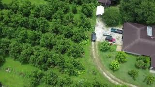 Relaxing Tour of Sleepy Lizard Avocado Farm