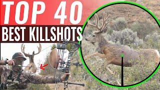 40 BEST Kill Shots in 12 Minutes