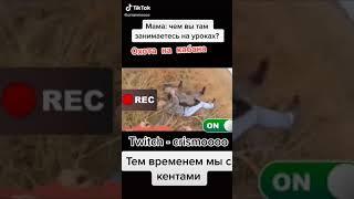 Шок! Школьники поймали кабана / Мем / Прикол