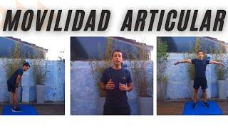 Ejercicios de Movilidad Articular