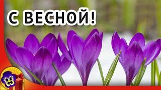 С первым днем весны! Меняю зиму на весну! Оригинальное видео поздравление с весной