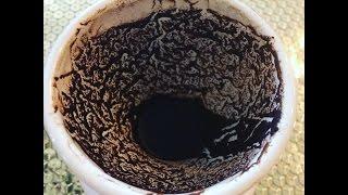 2017  Coffee Cup Psychic Reading with Amira Celon