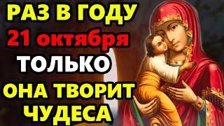 21 октября ТОЛЬКО СЕГОДНЯ РАЗ В ГОДУ ЭТА МОЛИТВА ТВОРИТ ЧУДЕСА! Молитва Богородице. Православие