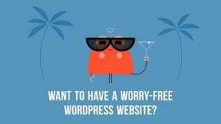 WordPress Maintenance & Support Service