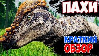 || THE ISLE || - ПАХИЦЕФАЛОЗАВР КРАТКИЙ ОБЗОР !!!. PAHICEFALOSAUR