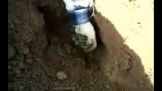 Огромный клад пятаков!!!