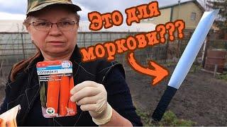 Посев моркови.  БЕЗ ГОРЕЧИ и МОРКОВНОЙ МУХИ.