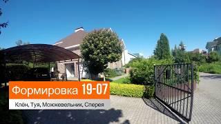 1) Блог агронома  - Формировка 19-07-17