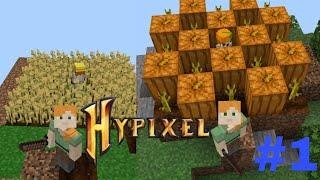 Make a wheat minion and pumpkin minion in hiypixel skyblock || MINECRAFT